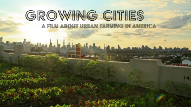 Growing Cities Thumbnail